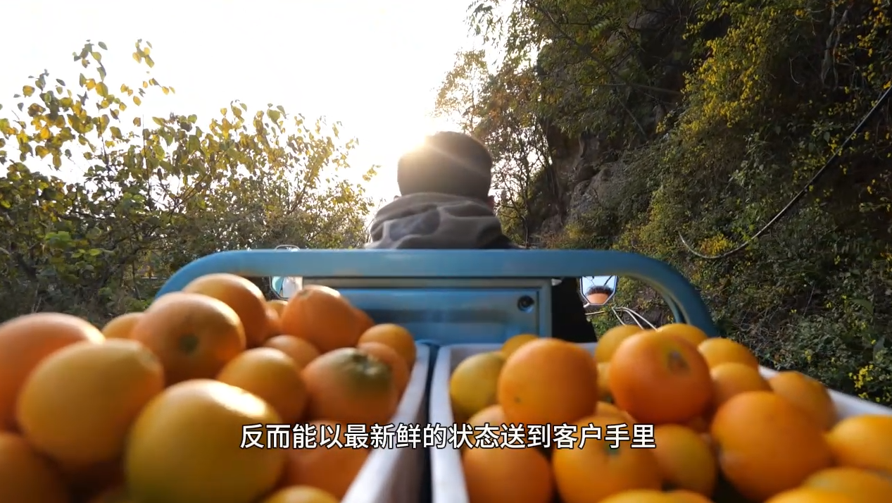 与淮海同行乡村致富带头人